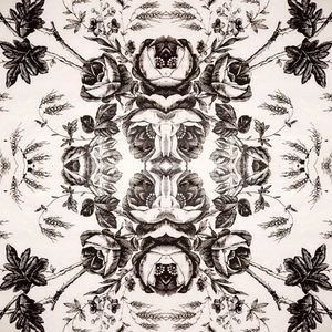 Meet your Posher, Joey